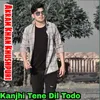 About Kanjhi Tene Dil Todo Song